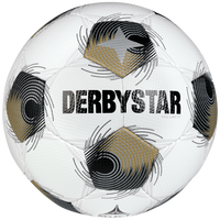 Ballset DERBYSTAR Trainingsball BRILLANT TT v25 inkl. Ballsack