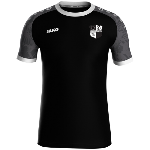 FC Deggendorf Trikot Iconic KA