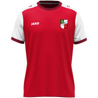 SV 1969 Melchow/Grüntal e.V. Trikot Dynamic KA