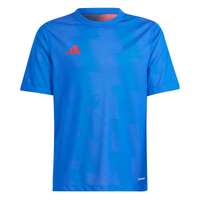 adidas Reversible 24 Trikot