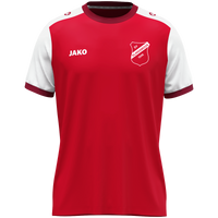 SV 1946 Klingsmoos Jugend Trikot Dynamic KA