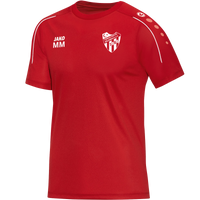 Türk FV Erlenbach T-Shirt Classico