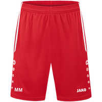 Türk FV Erlenbach Sporthose Allround