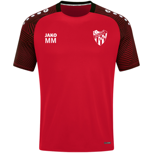 Türk FV Erlenbach T-Shirt Performance
