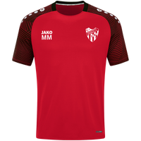 Türk FV Erlenbach T-Shirt Performance