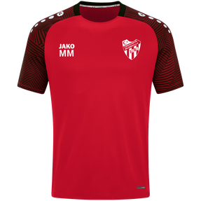 Türk FV Erlenbach T-Shirt Performance