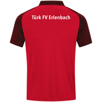 Türk FV Erlenbach Polo Performance