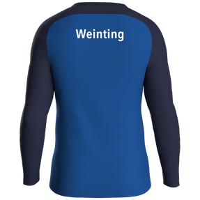 VfR Laberweinting 1929 e.V. Sweat Iconic