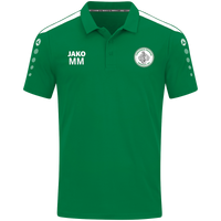 TV Grebenau Polo Power