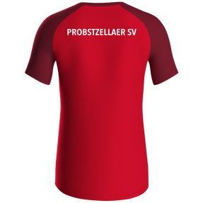 Probstzellaer SV T-Shirt Iconic