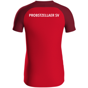 Probstzellaer SV Polo Iconic