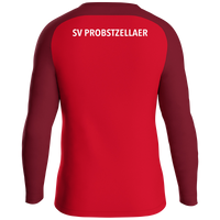 Probstzellaer SV Sweat Iconic