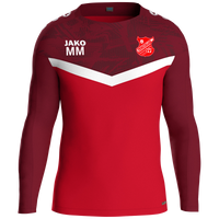Probstzellaer SV Sweat Iconic