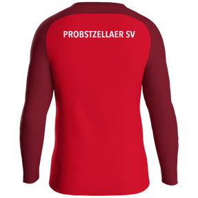 Probstzellaer SV Sweat Iconic