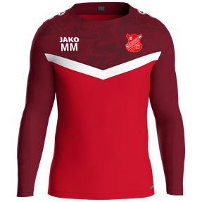 Probstzellaer SV Sweat Iconic