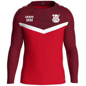 Probstzellaer SV Sweat Iconic