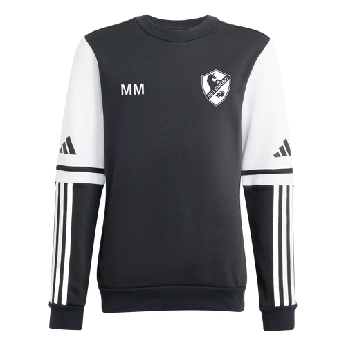 Schiedsrichtergruppe Schwäbisch Gmünd Squadra 25 Sweatshirt
