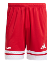 1. FC Baiersdorf Squadra 25 Shorts