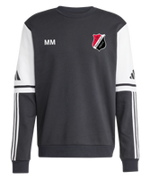 1. FC Baiersdorf Squadra 25 Sweatshirt