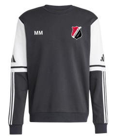 1. FC Baiersdorf Squadra 25 Sweatshirt
