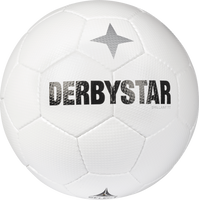 10 x DERBYSTAR training ball - BRILLANT TT CLASSIC incl. ball bag