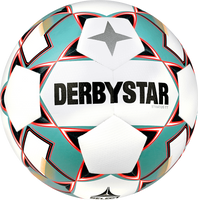 10 x DERBYSTAR training ball - STRATOS TT incl. ball bag