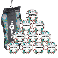 10 x DERBYSTAR training ball - STRATOS TT incl. ball bag