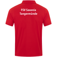 FSV Saxonia Tangermünde Polo Power