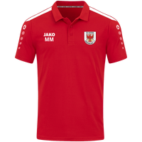 FSV Saxonia Tangermünde Polo Power