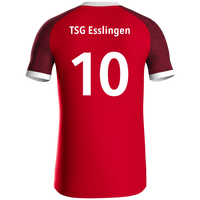 TSG Esslingen Trikot Iconic KA