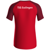 TSG Esslingen T-Shirt Iconic