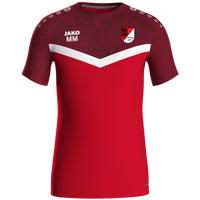 TSG Esslingen T-Shirt Iconic
