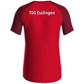 TSG Esslingen T-Shirt Iconic