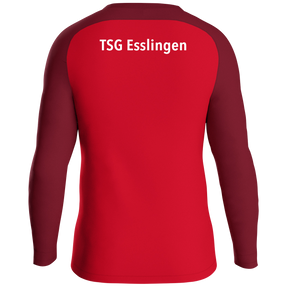 TSG Esslingen Sweat Iconic