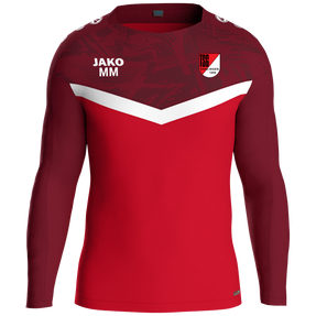 TSG Esslingen Sweat Iconic