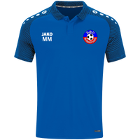 KSV Schönermark Volleyball Polo Performance