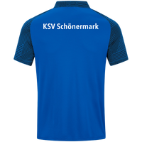 KSV Schönermark Volleyball Polo Performance