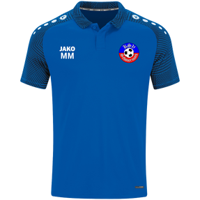 KSV Schönermark Volleyball Polo Performance