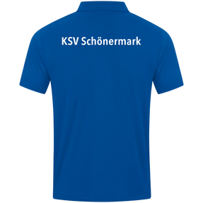KSV Schönermark Volleyball Polo Power