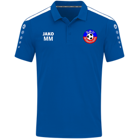 KSV Schönermark Volleyball Polo Power