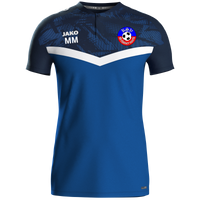 KSV Schönermark Volleyball Polo Iconic