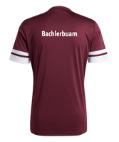 TSV Hofkirchen Herren Squadra 25 Trikot