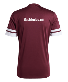 TSV Hofkirchen Herren Squadra 25 Trikot