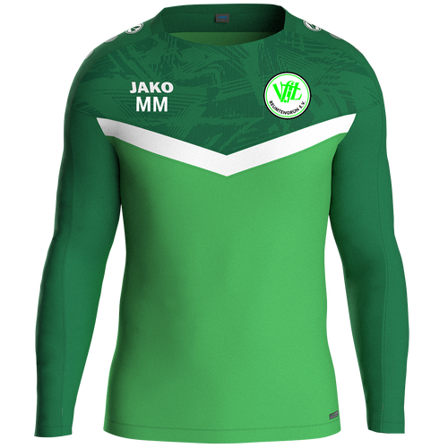 VfL Reumtengrün e.V. Sweat Iconic