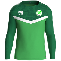 VfL Reumtengrün e.V. Sweat Iconic