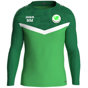 VfL Reumtengrün e.V. Sweat Iconic