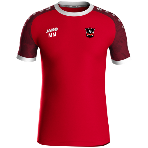 Blesewitzer SV Trikot Iconic KA