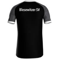 Blesewitzer SV Trikot Iconic KA