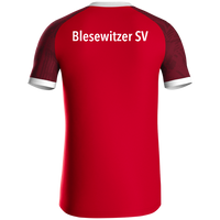 Blesewitzer SV Trikot Iconic KA