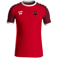 Blesewitzer SV Trikot Iconic KA